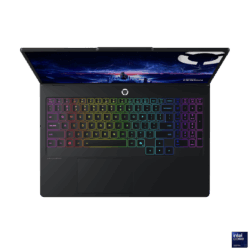 Legion Pro 5 16IRX10