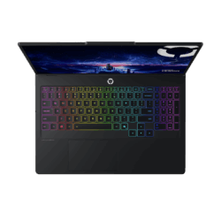 Legion Pro 5 16IRX10