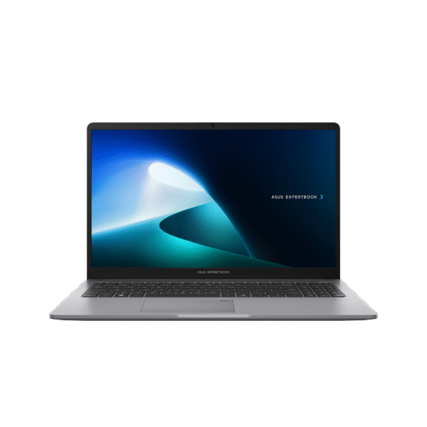 لپ تاپ ایسوس ExpertBook P1 P1503CVA-I7